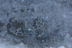 撮って出し(2025-01-13_09-33)-(Canon EOS 60D-5