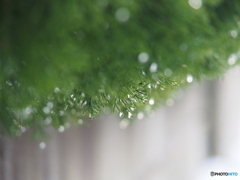 撮って出し(2025-01-12_09-38)-(E-M5-150(OLYMPU