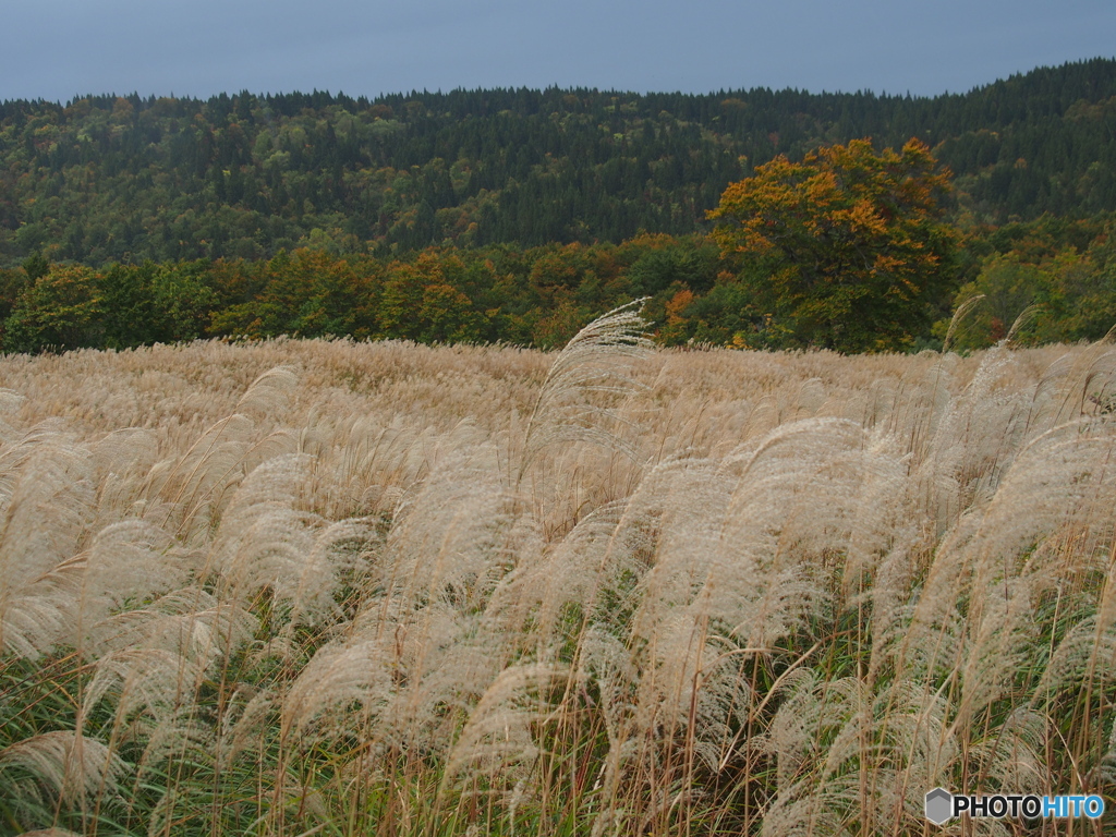 撮って出し(2025-10-18_12-13)-(E-M5-25(OLYMPUS