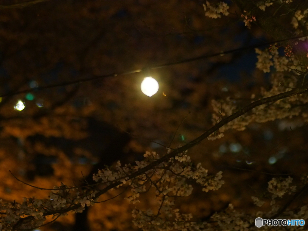 撮って出し(2025-04-18_18-45)-(E-M5-0())