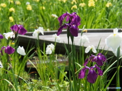 撮って出し-E-M5-70.0-23_06_18-0