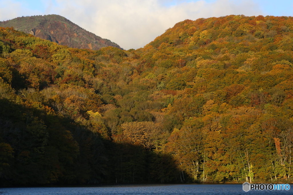 撮って出し(2025-10-27_06-32)-(Canon EOS 6D-90