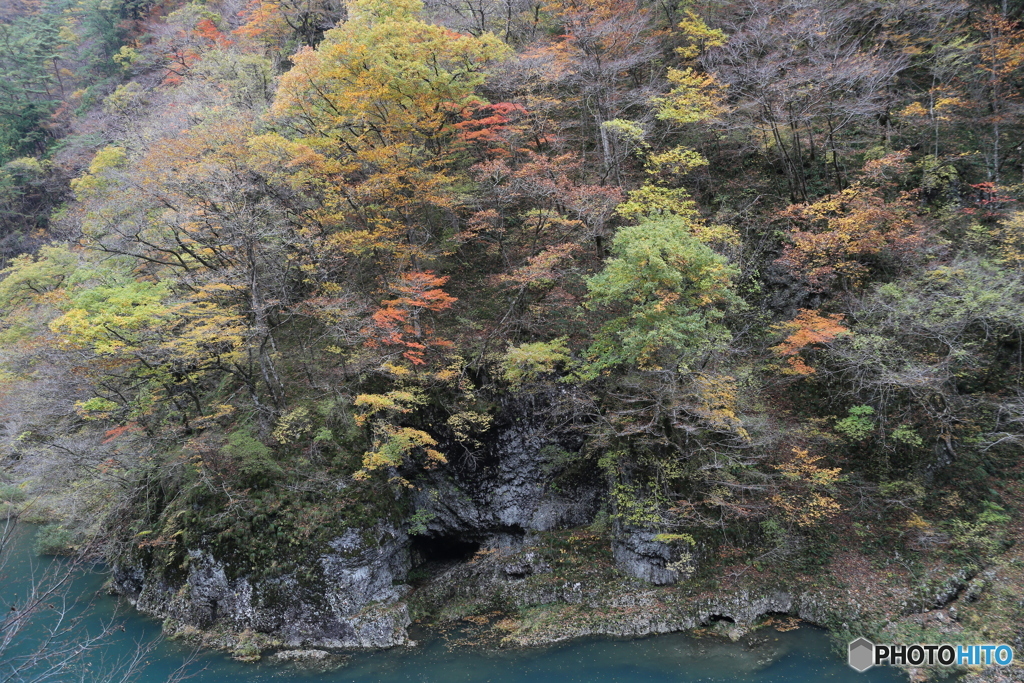 撮って出し(2025-11-07_12-32)-(Canon EOS 6D-28