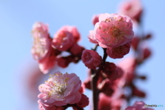撮って出し-Canon EOS 60D-90.0-41_03_27-1