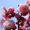 撮って出し-Canon EOS 60D-90.0-41_03_27-1