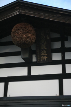 撮って出し(2024-11-06_15-04)-(Canon EOS 5D-80