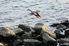 撮って出し(2024-04-23_17-50)-(Canon EOS 60D-2