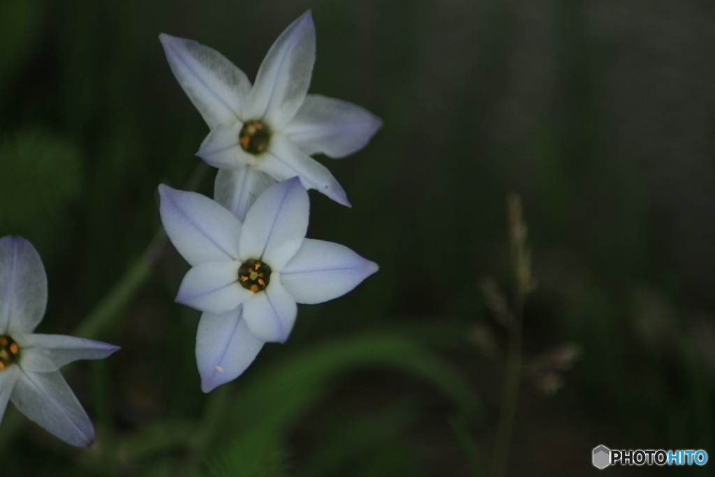 撮って出し(2025-05-06_15-19)-(Canon EOS 60D-3