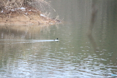 撮って出し(2024-01-28_08-06)-(Canon EOS 60D-2