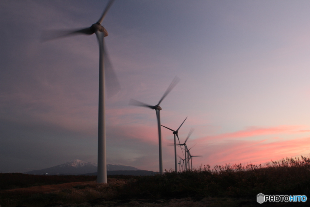 撮って出し(2025-11-05_16-53)-(Canon EOS 60D-2
