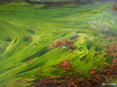 撮って出し-E-M5-25.0-23_10_15_PA155573-0