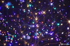 撮って出し(2024-12-19_16-49)-(Canon EOS 60D-5