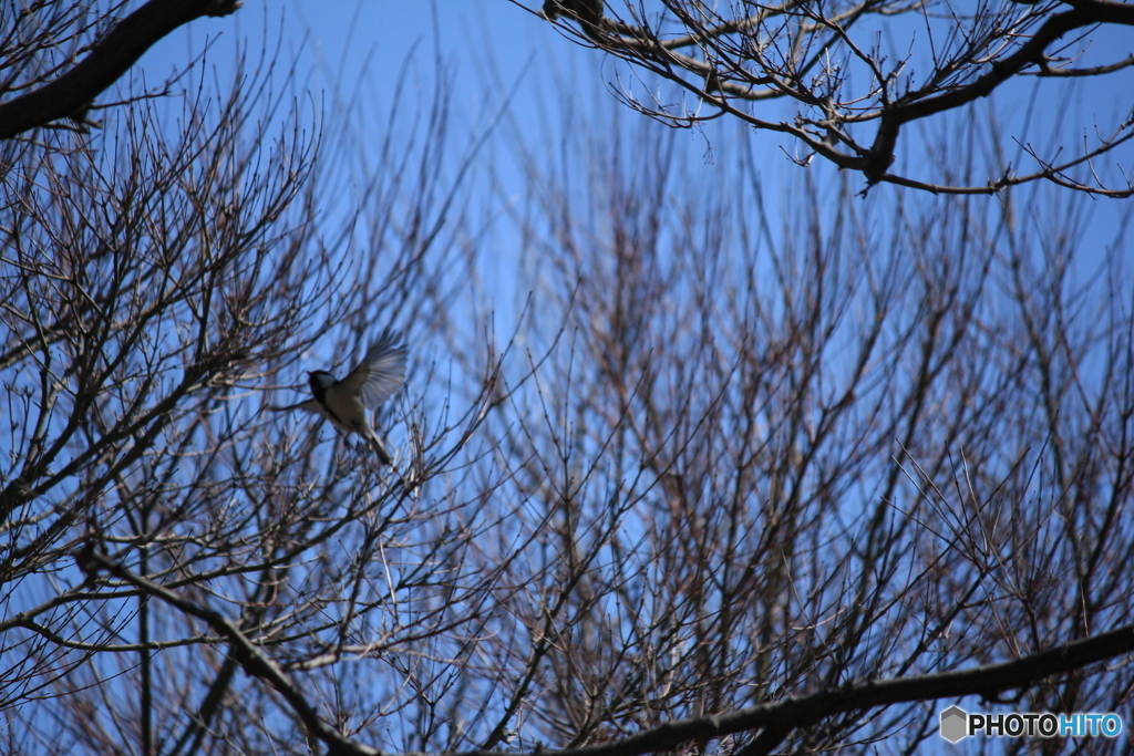 撮って出し-Canon EOS 60D-250.0-41_03_30-1
