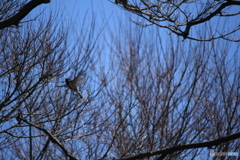 撮って出し-Canon EOS 60D-250.0-41_03_30-1