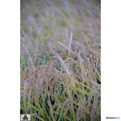 撮って出し(2023-10-12_15-40)-50--X-E1_1