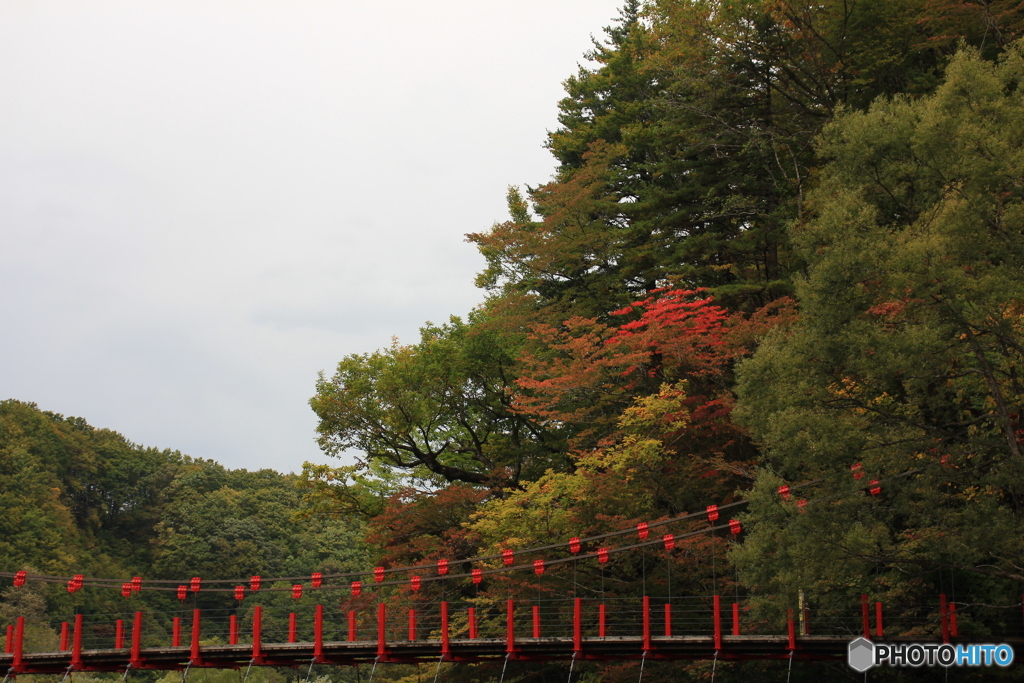 撮って出し(2025-10-18_11-44)-(Canon EOS 60D-4