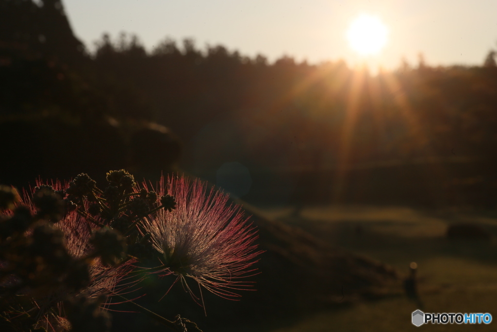撮って出し(2025-07-11_05-07)-(Canon EOS 6D-90