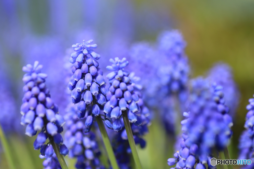 撮って出し-Canon EOS 6D-90.0-41_04_11-0