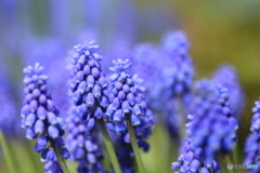 撮って出し-Canon EOS 6D-90.0-41_04_11-0