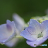 撮って出し-E-M5-0.0-23_06_23-5