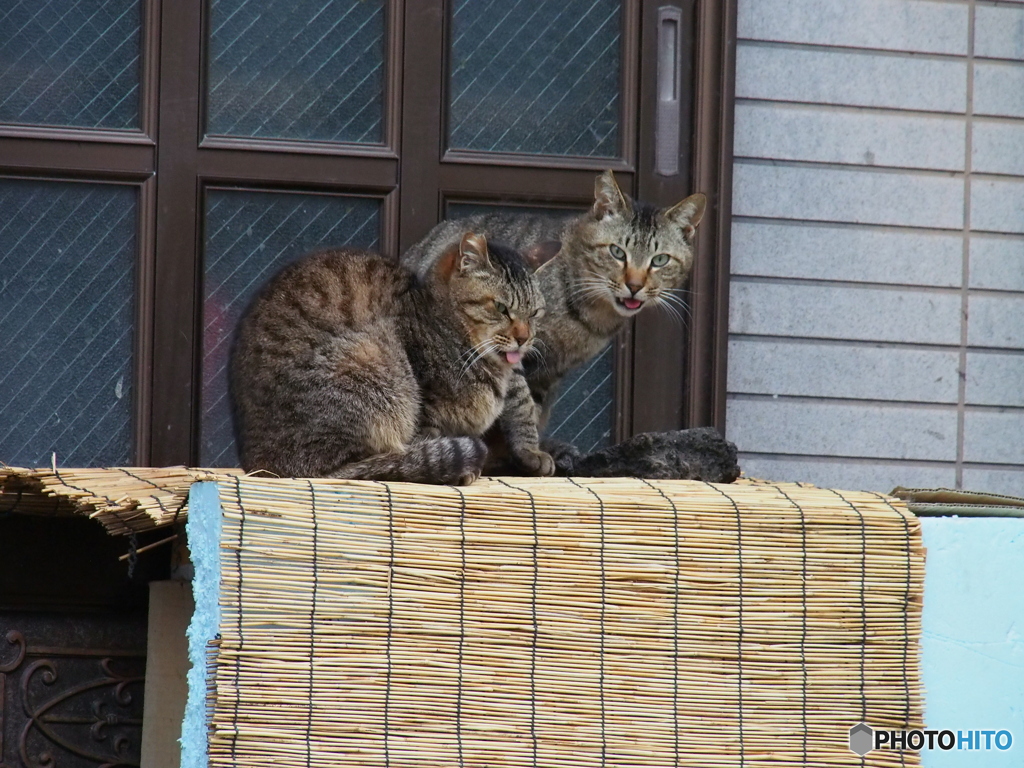 撮って出し-E-M5-150.0-41_04_15-0