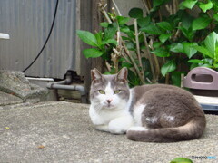 撮って出し(2024-04-26_13-53)-(Canon PowerShot