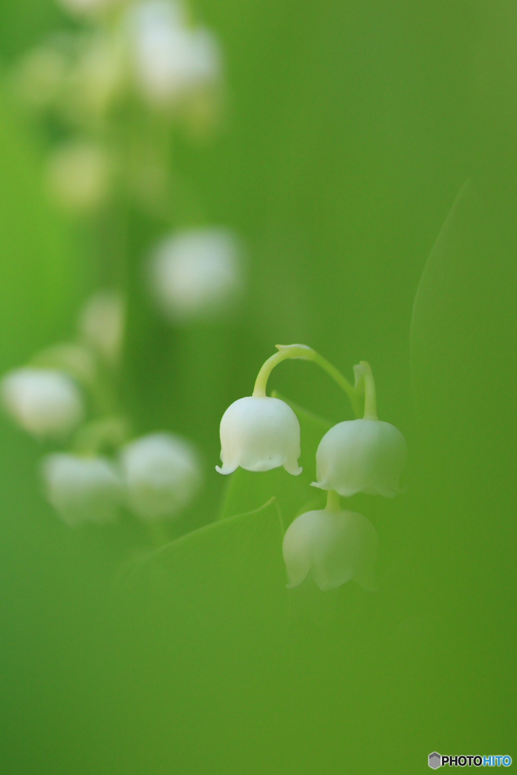 撮って出し-Canon EOS 60D-90.0-23_05_18-0