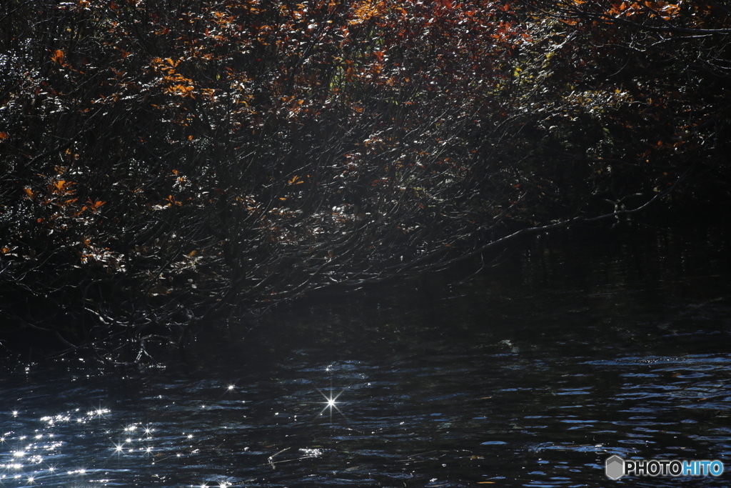 撮って出し(2025-11-04_10-10)-(Canon EOS 6D-10