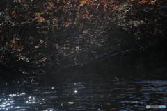 撮って出し(2025-11-04_10-10)-(Canon EOS 6D-10