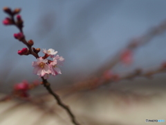 撮って出し-E-M5-0.0-41_03_09-3