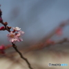 撮って出し-E-M5-0.0-41_03_09-3