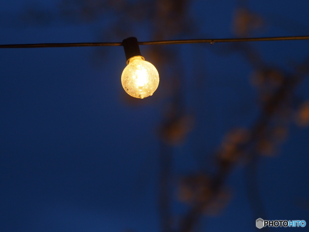 撮って出し(2025-04-18_18-30)-(E-M5-0())_03