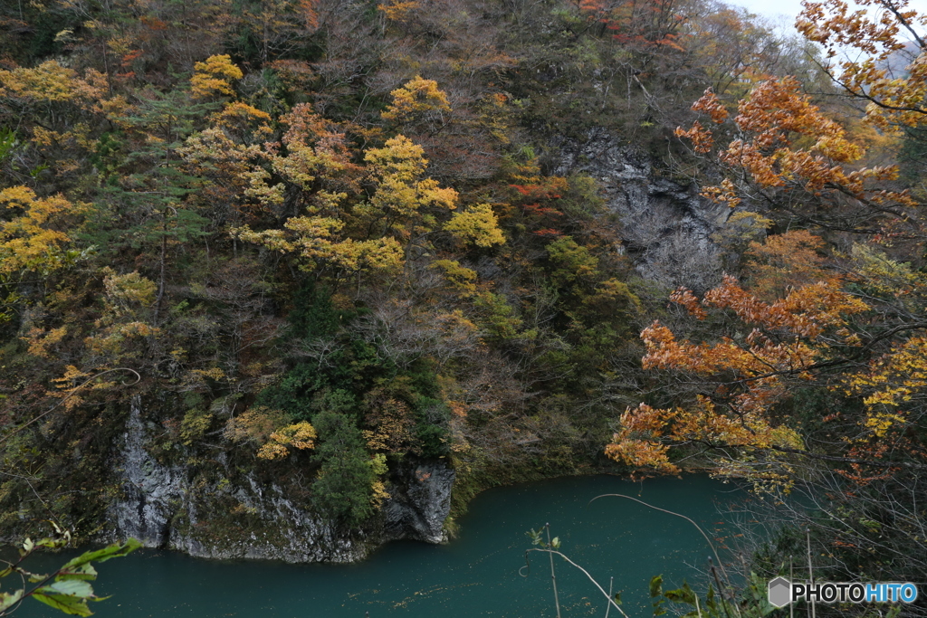 撮って出し(2025-11-07_12-43)-(Canon EOS 6D-28