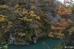 撮って出し(2025-11-07_12-43)-(Canon EOS 6D-28