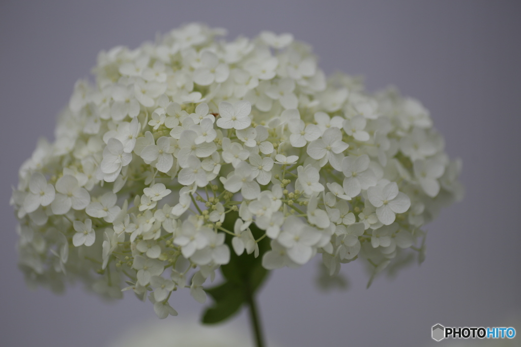 撮って出し(2025-06-30_16-17)-(Canon EOS 6D-90