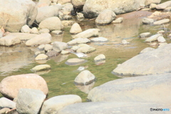 撮って出し(2025-07-07_14-56)-(Canon EOS 60D-3