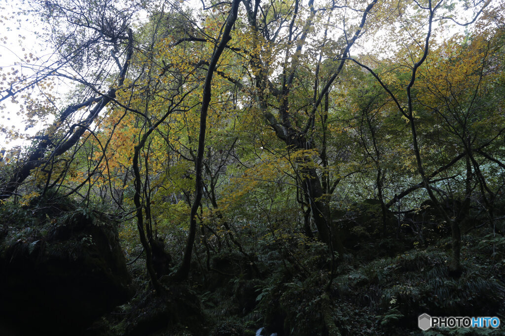 撮って出し(2025-11-04_07-12)-(Canon EOS 6D-28