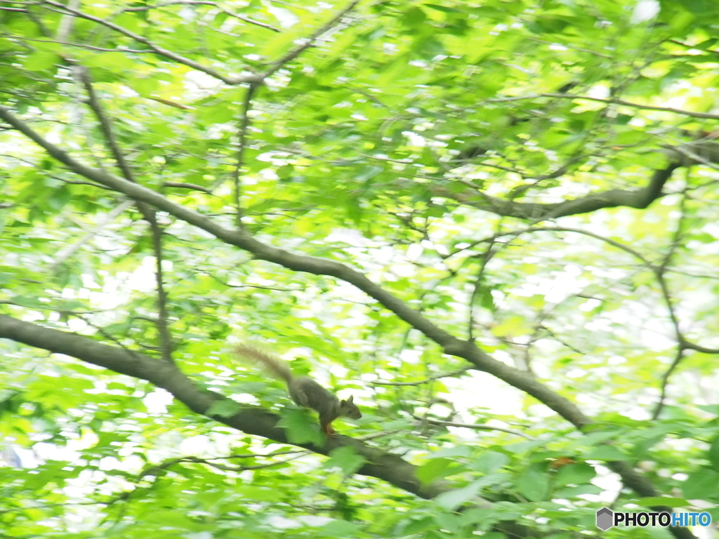 撮って出し(2025-06-15_14-50)-(E-M5-150(OLYMPU