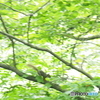 撮って出し(2025-06-15_14-50)-(E-M5-150(OLYMPU