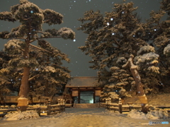 撮って出し(2024-02-21_23-08)-(E-M5-14(OLYMPUS