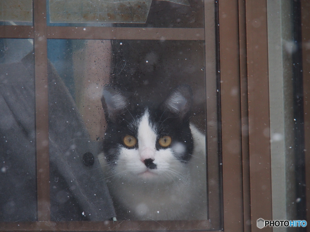 撮って出し(2025-01-17_10-56)-(E-M5-120(OLYMPU