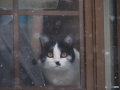 撮って出し(2025-01-17_10-56)-(E-M5-120(OLYMPU