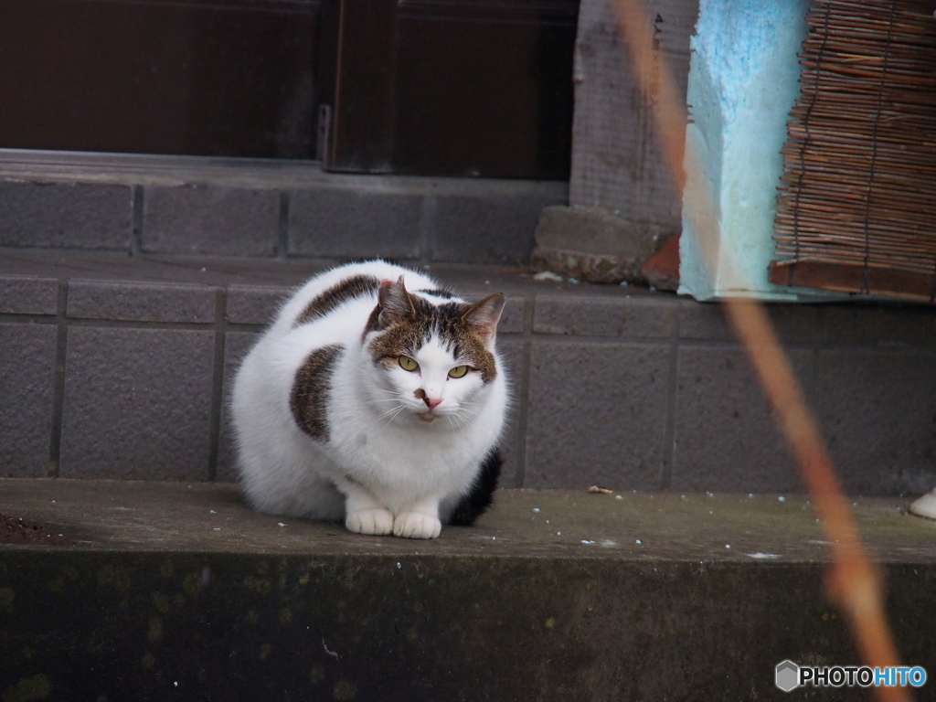 撮って出し(2025-01-14_14-18)-(E-M5-150(OLYMPU