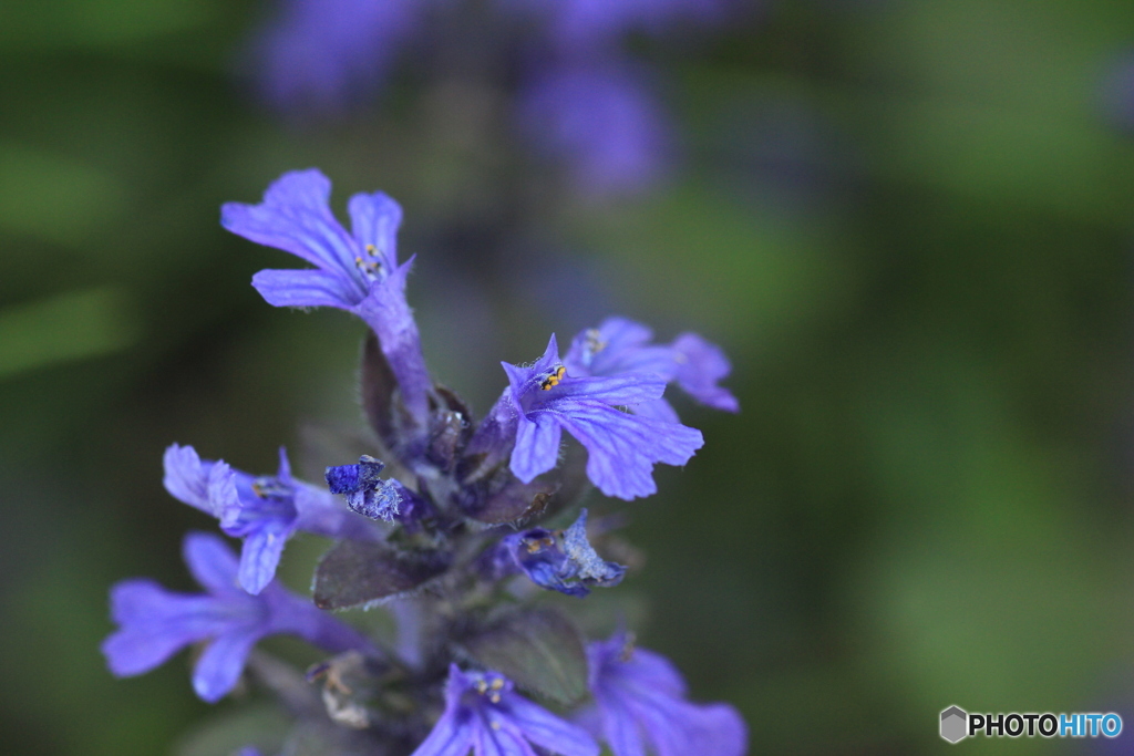 撮って出し-Canon EOS 60D-90.0-23_05_17-21