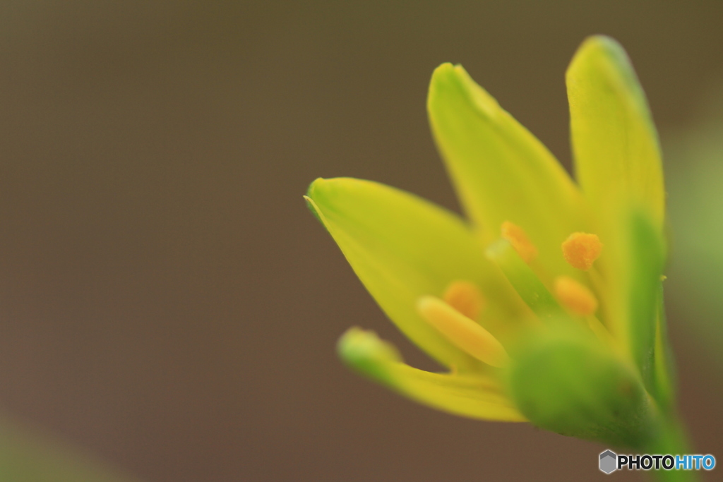 撮って出し(2025-04-06_09-13)-(Canon EOS 60D-9