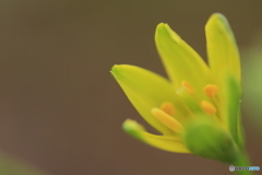 撮って出し(2025-04-06_09-13)-(Canon EOS 60D-9