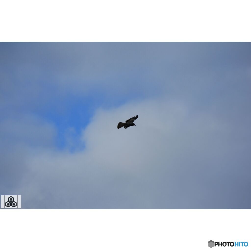 撮って出し(2023-11-26_08-13)-250-EF-S55-250mm