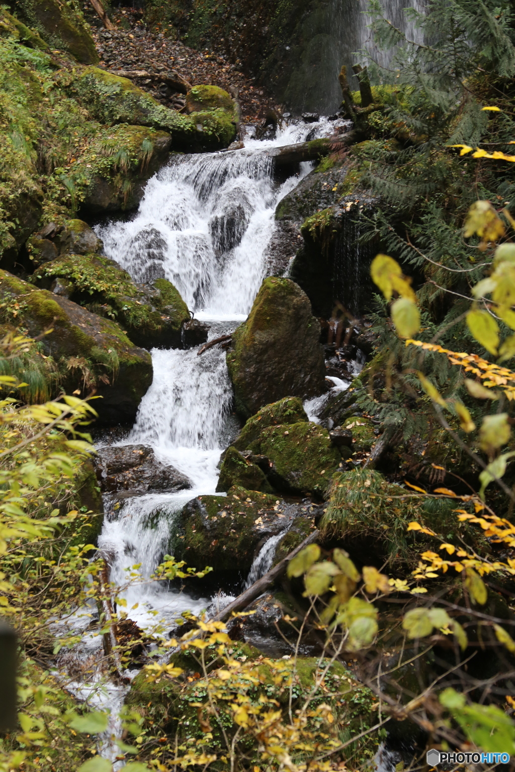 撮って出し(2025-11-07_13-32)-(Canon EOS 6D-90