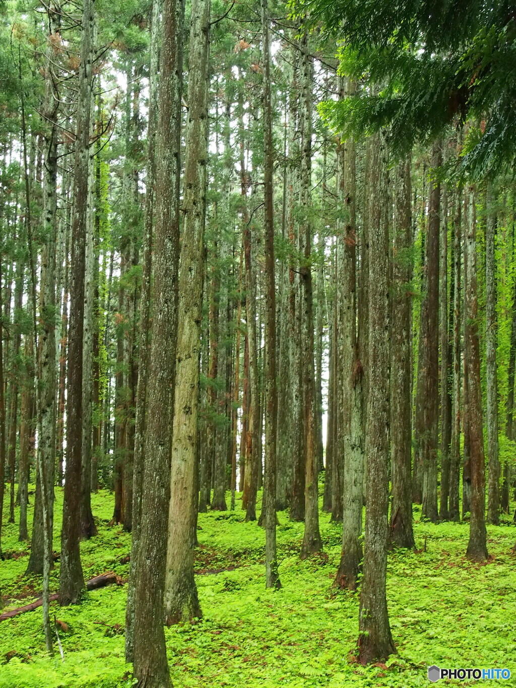 撮って出し-E-M5-22.0-23_05_08-0