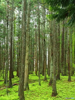 撮って出し-E-M5-22.0-23_05_08-0